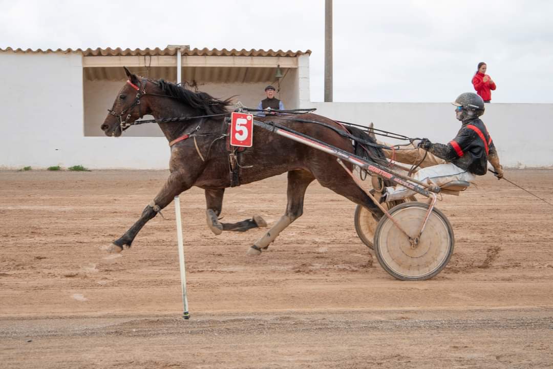 Carreres Trot-hipódromo municipal de Maó