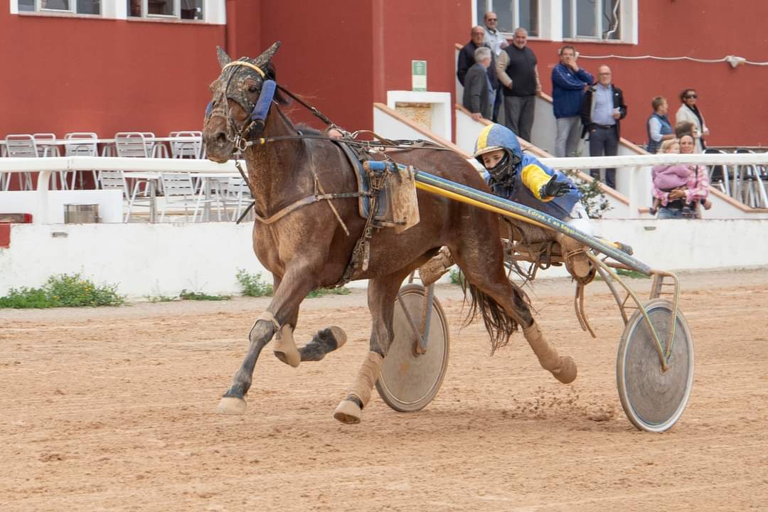 Carreres Trot-hipódromo municipal de Maó