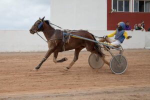 Carreres Trot-hipódromo municipal de Maó