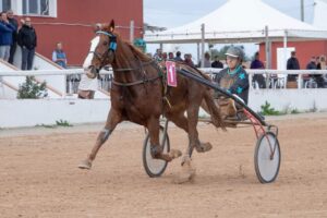 Carreres Trot-hipódromo municipal de Maó