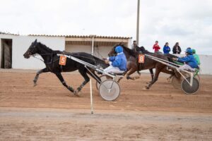 Carreres Trot-hipódromo municipal de Maó