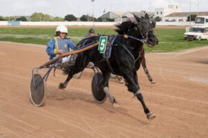 Carreres Trot-hipódromo municipal de Maó