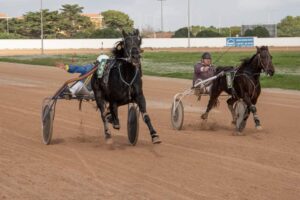 Carreres Trot-hipódromo municipal de Maó