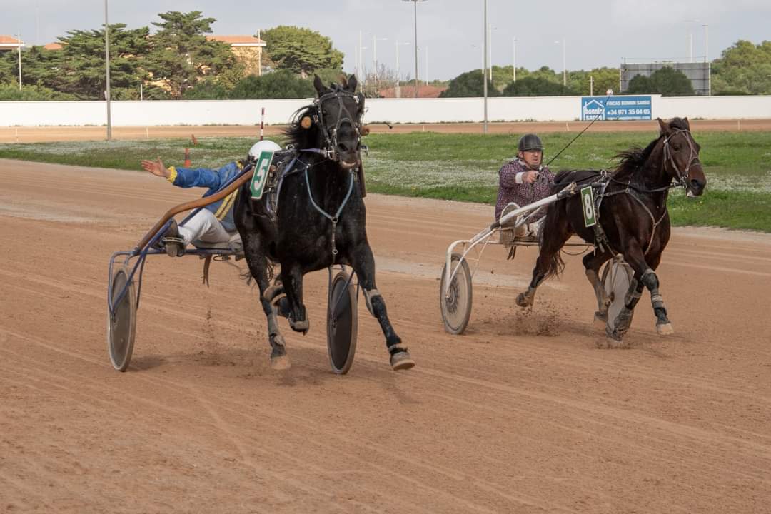 Carreres Trot-hipódromo municipal de Maó