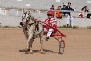 FB_IMG_1732715508034