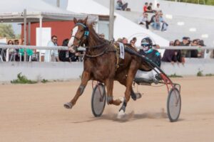 FB_IMG_1732715512188