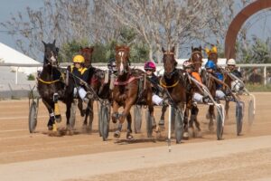 FB_IMG_1732715516165