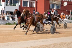 FB_IMG_1732715520070