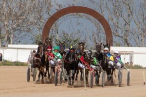 FB_IMG_1732715524015