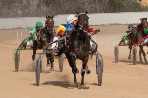 FB_IMG_1732715526988