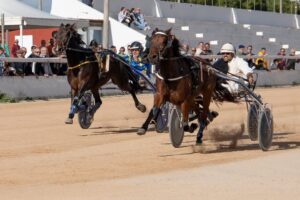 FB_IMG_1732715530061