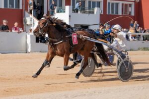 FB_IMG_1732715533822