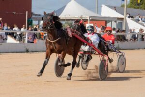 FB_IMG_1732715541759