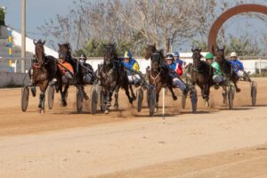 FB_IMG_1732715545617