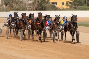 FB_IMG_1732715548443