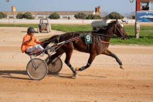 FB_IMG_1732715551034