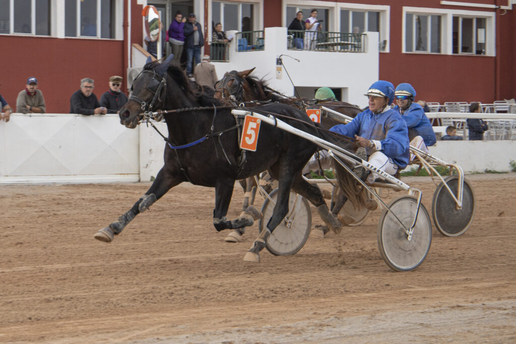 Carreres Trot-hipódromo municipal de Maó