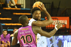 tm121124006hestia_bsaquetmenorca_palmer_palma