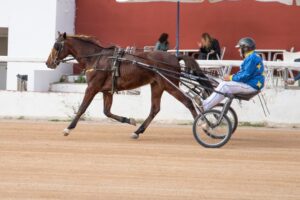 FB_IMG_1733331341318