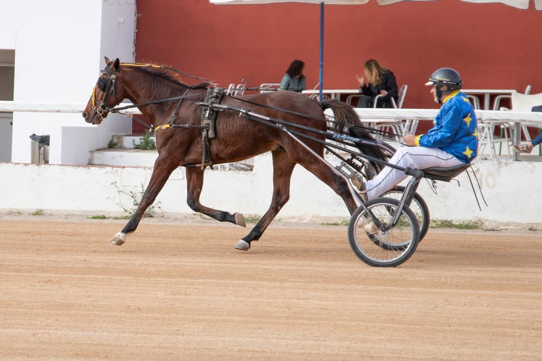 FB_IMG_1733331341318