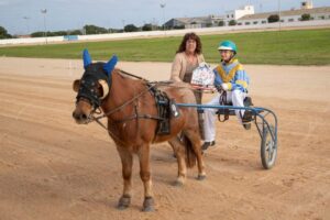 FB_IMG_1733331359023