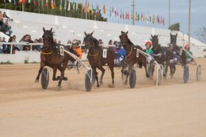 FB_IMG_1733331366257