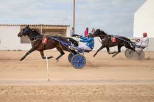 FB_IMG_1733331378118