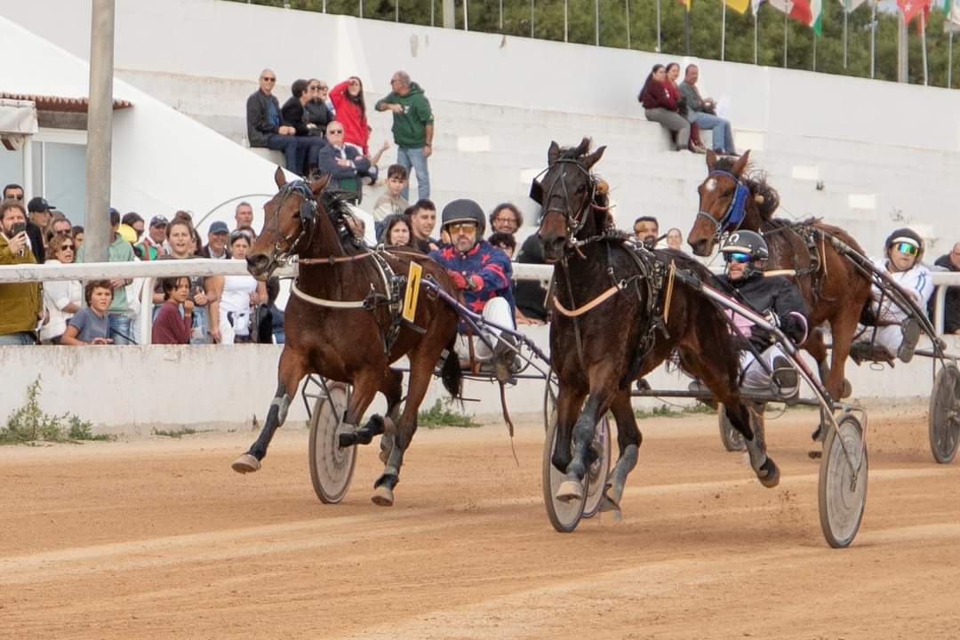 FB_IMG_1733331384234