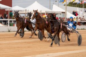 FB_IMG_1733331392051