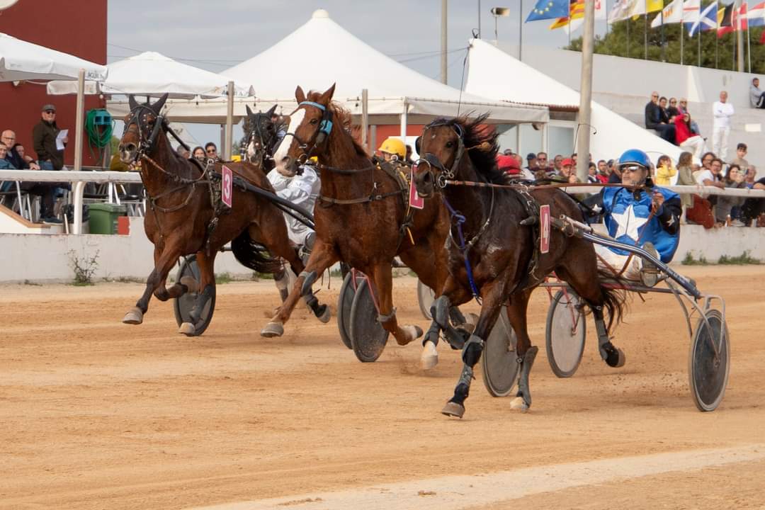 FB_IMG_1733331392051