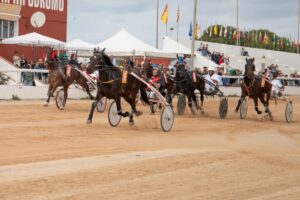 FB_IMG_1733331405285