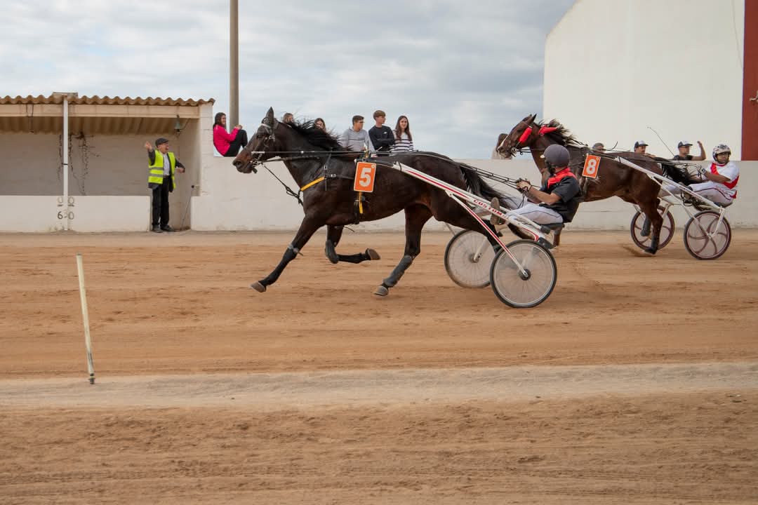 FB_IMG_1733331408843