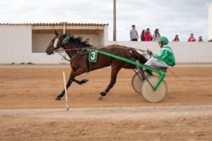 FB_IMG_1733331415478