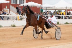 FB_IMG_1733331420687