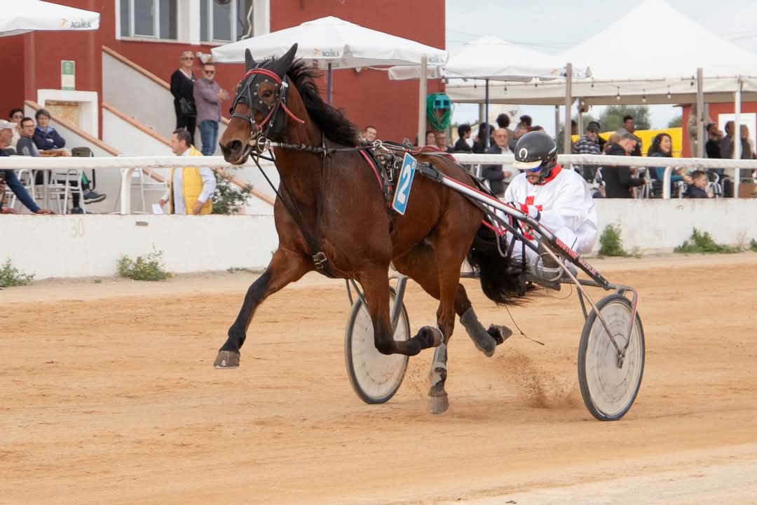 FB_IMG_1733331420687