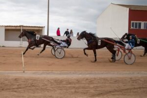 FB_IMG_1733331434772