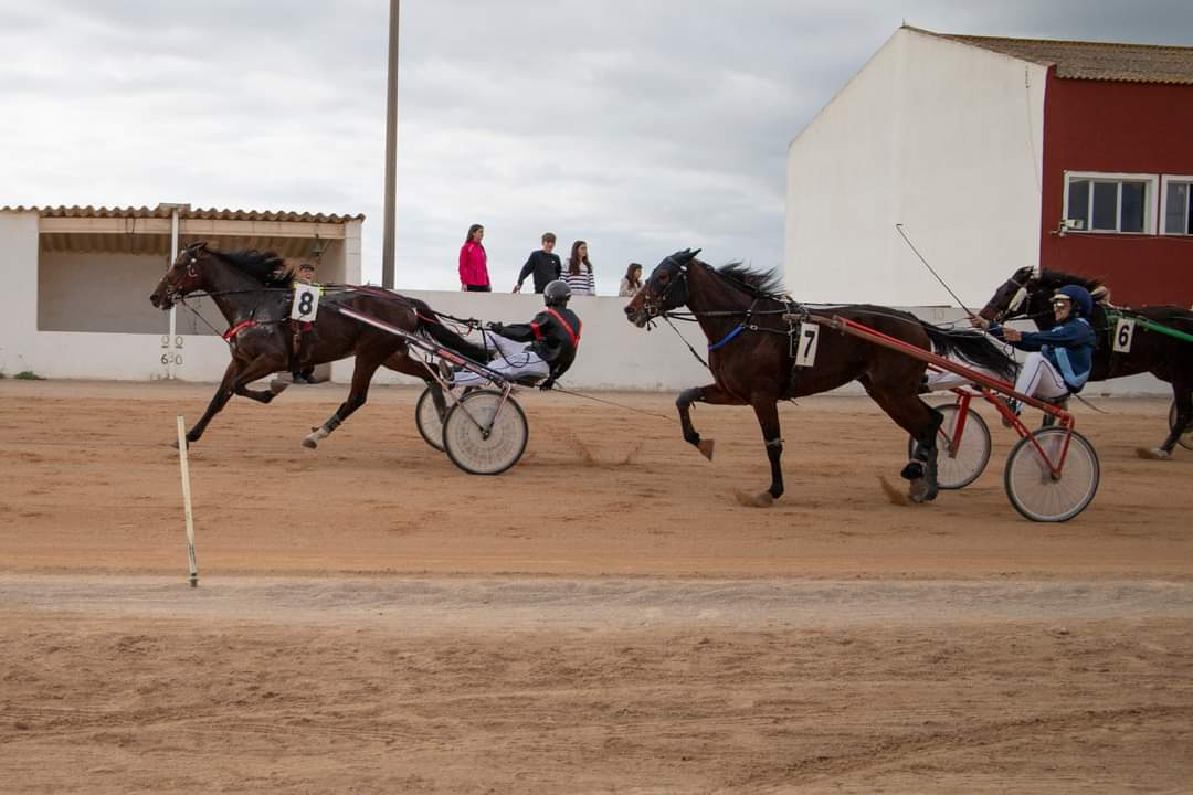 FB_IMG_1733331434772