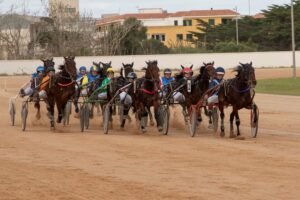 FB_IMG_1733331440066