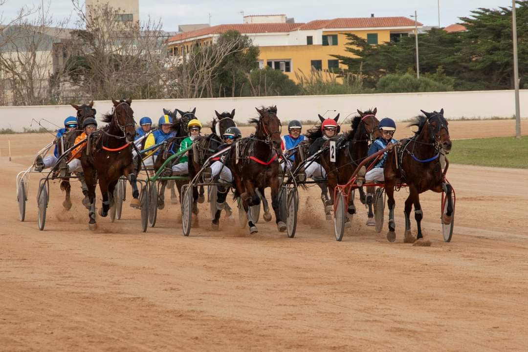 FB_IMG_1733331440066