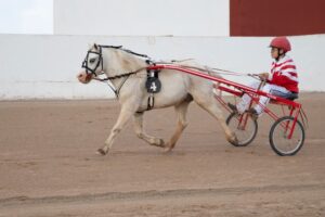 FB_IMG_1733923895293