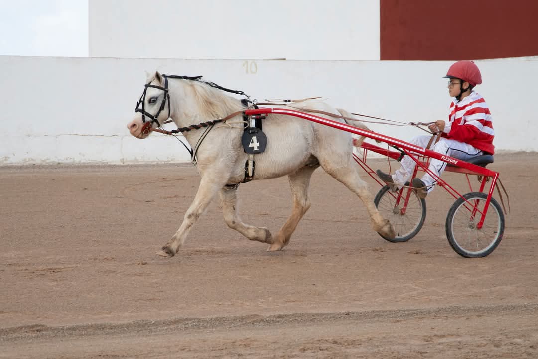 FB_IMG_1733923895293