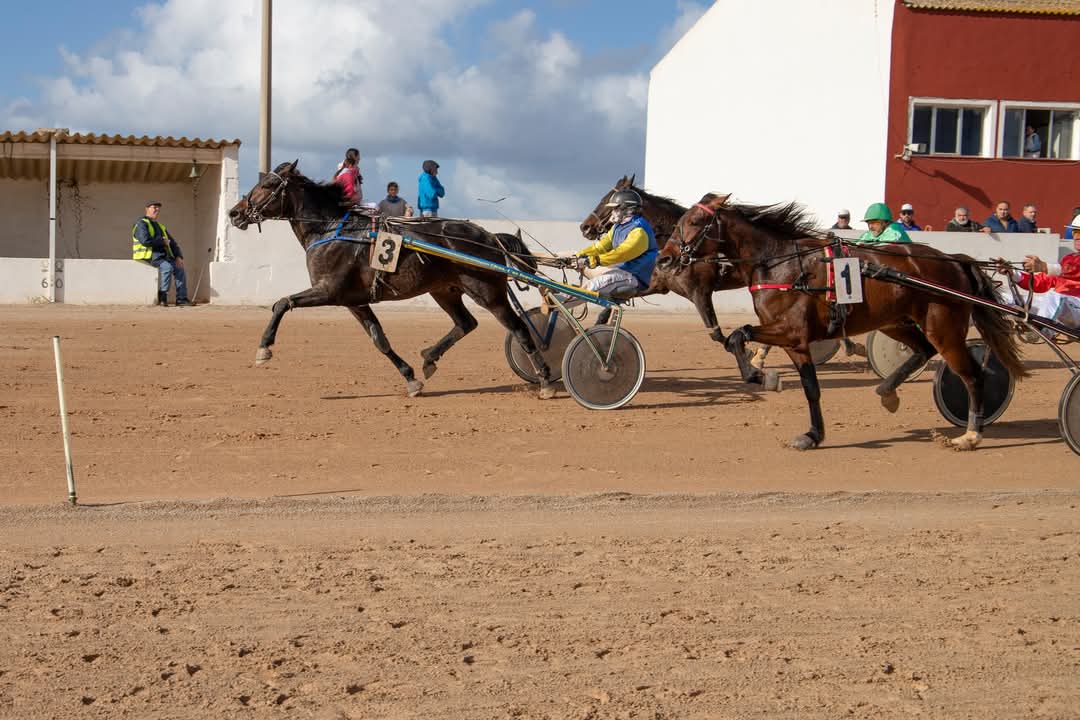 FB_IMG_1733923911935