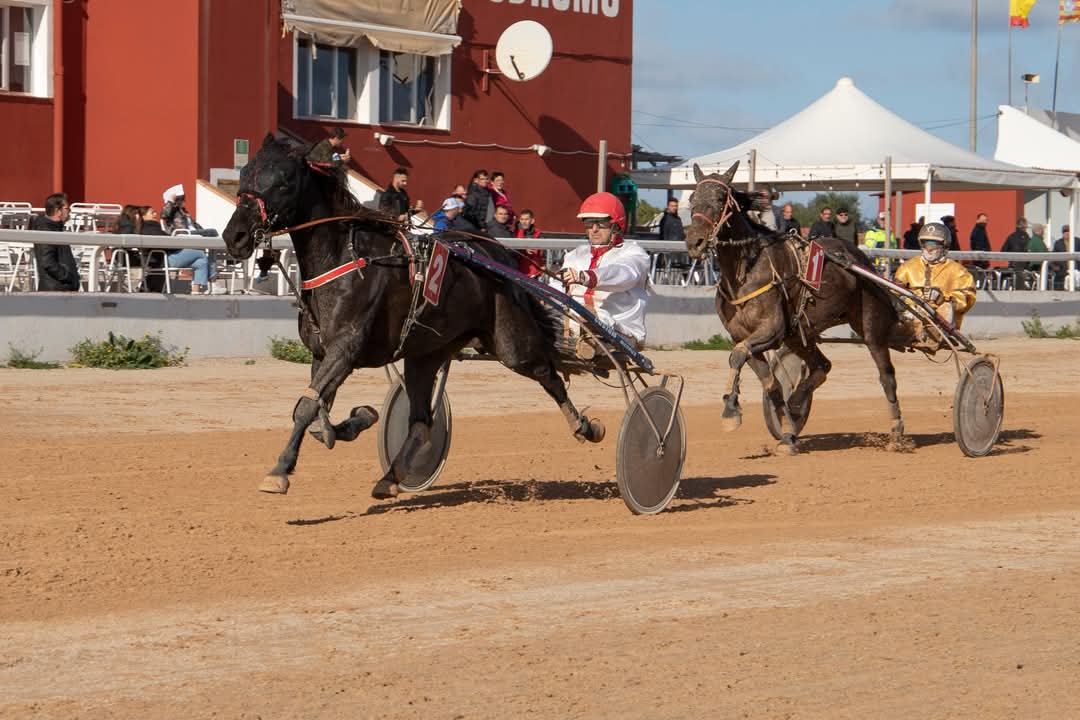 FB_IMG_1733923916968