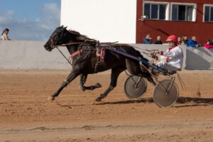 FB_IMG_1733923920030