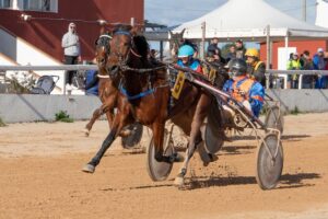 FB_IMG_1733923924716