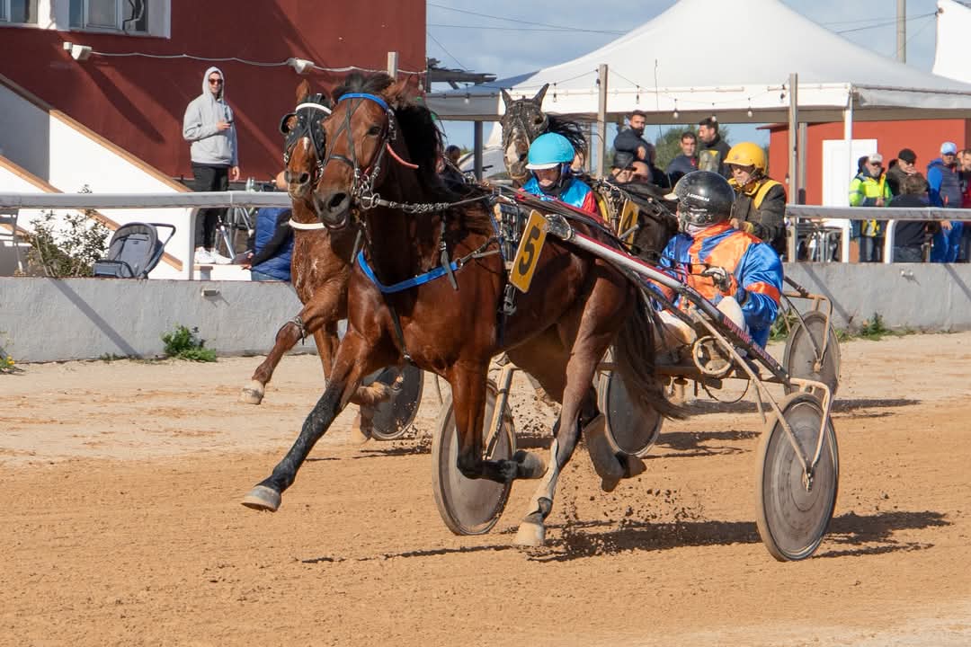 FB_IMG_1733923924716