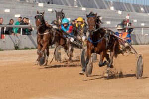 FB_IMG_1733923930051