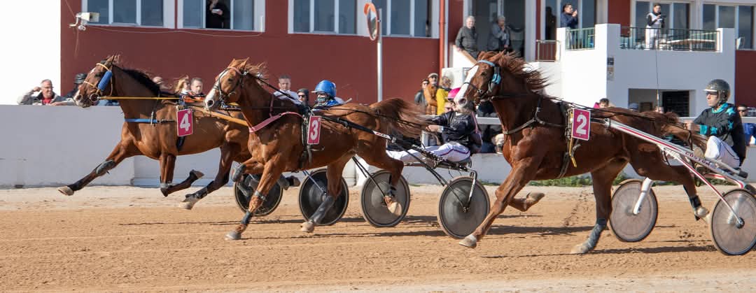 FB_IMG_1733923935301