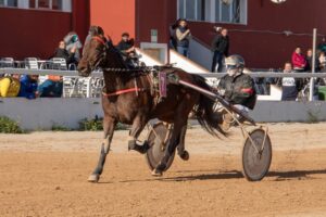 FB_IMG_1733923939751