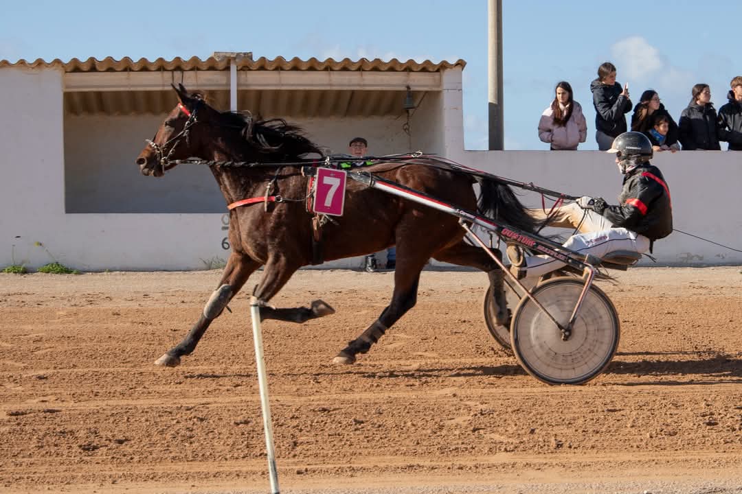 FB_IMG_1733923943484